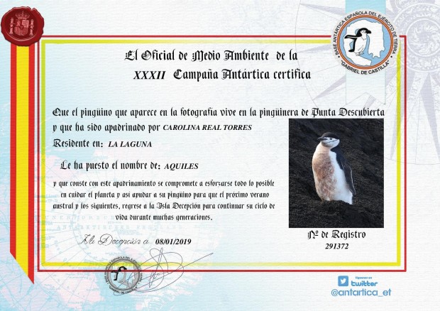 diploma pingüino-1